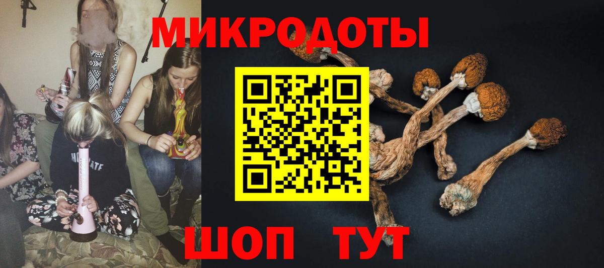 Галлюциногенные грибы Magic Shrooms  Вход с VPN  продажа наркотиков  Подольск  Псилоцибиновые грибы мицелий 
